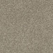 Shaw Floors Carpetland Value Enveloped I Clay 00701_7B7Q2