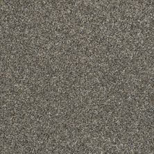 Shaw Floors Carpetland Value Enveloped II Granite Dust 00511_7B7Q3