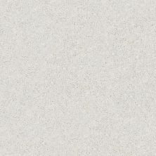 Shaw Floors Carpets Plus Value From Now On I Dolphin 00520_7B7Q6