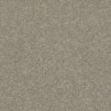 Shaw Floors Carpets Plus Value From Now On I Rustic Taupe 00722_7B7Q6