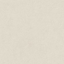 Shaw Floors Carpets Plus Value Melange I Painter’s Canvas 100S_7B7S1