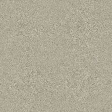 Shaw Floors Carpets Plus Value Melange I Spun Wool 130A_7B7S1