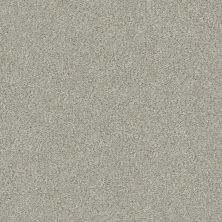 Shaw Floors Carpets Plus Value Melange I Morning Frost 131A_7B7S1