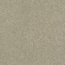 Shaw Floors Carpets Plus Value Melange I Lunar Surface 140A_7B7S1
