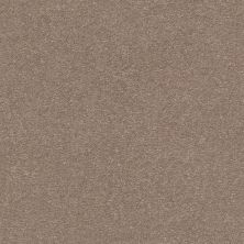 Shaw Floors Carpets Plus Value Melange I Hidden Treasure 700S_7B7S1