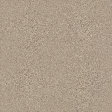 Shaw Floors Carpets Plus Value Melange I Midtown Brown 720T_7B7S1