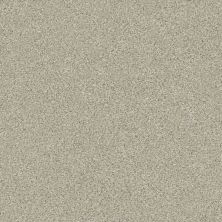 Shaw Floors Carpetland Value Melange II Spun Wool 130A_7B7S2