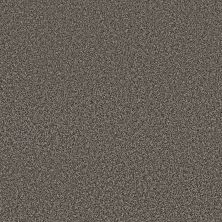 Shaw Floors Georgia Peach Meteorite