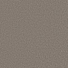 Shaw Floors Refined Comfort I 12' Wild Rice