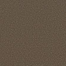Shaw Floors Refined Comfort I 12' Delta Sand