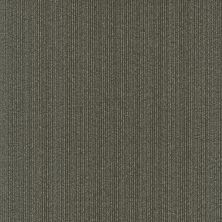 Philadelphia Commercial Core Elements Tile Reasonable Tl Moderate 24501_7C0R3