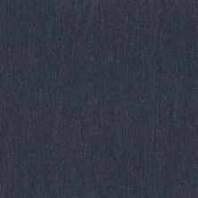 Philadelphia Commercial Core Elements Broadloom Outpouring Bl Stampede 12425_7C0R9