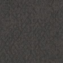 Philadelphia Commercial Core Elements Tile Sporadic Tl Changeable 70552_7D0B7