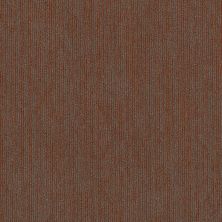 Philadelphia Commercial Core Elements Tile Sporadic Tl Wavering 70802_7D0B7