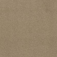 Shaw Floors Anso Foundation Destination Mare I Hazelnut 00750_7D0Q0
