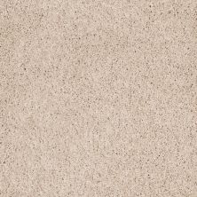 Shaw Floors Anso Foundation Destination Mare II Patience 00133_7D0Q1