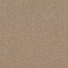 Shaw Floors Carpets Plus Value Modern Elegance I 12 Raw Lumber 00102_7D0U6