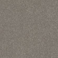 Shaw Floors Carpets Plus Value Modern Elegance I 12 Tree Bark 00700_7D0U6