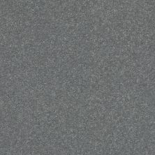 Shaw Floors Carpets Plus Value Modern Elegance II 15 Concrete 00500_7D0U9