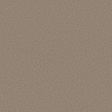 Shaw Floors Carpets Plus Value Matinee I Morning Light 00140_7G0K3