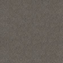 Shaw Floors Carpets Plus Value Matinee I Magnetic 00502_7G0K3