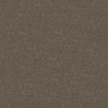 Shaw Floors Carpets Plus Value Matinee I Woodcraft 00701_7G0K3