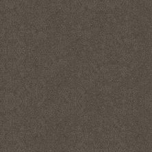 Shaw Floors Carpets Plus Value Matinee I Gateway 00702_7G0K3