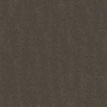 Shaw Floors Carpets Plus Value Matinee I Cabana 00752_7G0K3