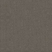 Shaw Floors Carpets Plus Value Matinee II Slate Stone 00105_7G0K4