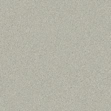 Shaw Floors Carpets Plus Value Matinee II Reflection 00530_7G0K4