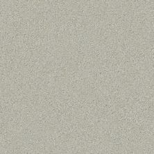 Shaw Floors Carpets Plus Value Matinee III Reflection 00530_7G0K5