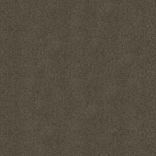 Shaw Floors Carpets Plus Value Matinee III Chestnut Ridge 00751_7G0K5