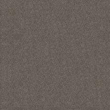 Shaw Floors Carpets Plus Value Matinee Iv Slate Stone 00105_7G0K6