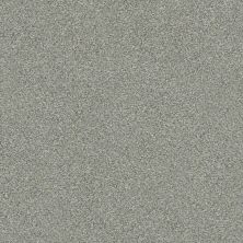 Shaw Floors Carpets Plus Value Matinee Iv Distant Star 00141_7G0K6