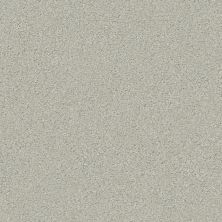 Shaw Floors Carpets Plus Value Matinee Iv Reflection 00530_7G0K6