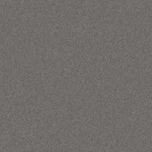 Shaw Floors Carpets Plus Value Melodramatic I Silver Spoon 00502_7G0K7