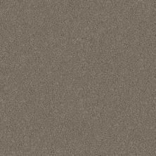 Shaw Floors Carpets Plus Value Melodramatic I Saddle Tan 00700_7G0K7