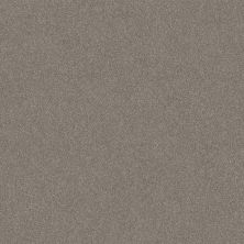 Shaw Floors Carpets Plus Value Melodramatic II Abalone 00101_7G0K8