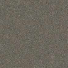 Shaw Floors Carpets Plus Value Melodramatic II Organic 00300_7G0K8