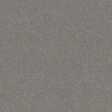 Shaw Floors Carpets Plus Value Melodramatic II Stainless 00500_7G0K8
