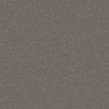 Shaw Floors Carpets Plus Value Melodramatic II Tundra 00501_7G0K8
