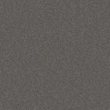 Shaw Floors Carpets Plus Value Melodramatic II Granite 00503_7G0K8