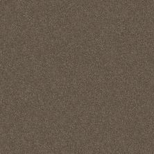 Shaw Floors Carpets Plus Value Melodramatic II Bountiful 00701_7G0K8