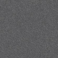 Shaw Floors Abbey&ftg Pet Perfect True Fun II 15 Refined 00402_7J0L3