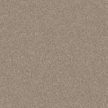 Shaw Floors Abbey&ftg Pet Perfect True Fun III 12 Natural 00109_7J0L4