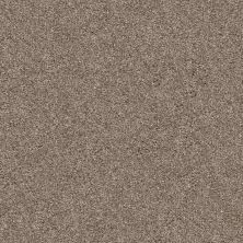 Shaw Floors Abbey&ftg Pet Perfect True Fun III 12 Cameo 00113_7J0L4