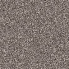Shaw Floors Abbey&ftg Pet Perfect True Fun III 12 Alaskan Air 00500_7J0L4