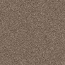 Shaw Floors Abbey&ftg Pet Perfect True Fun III 15 Honeycomb 00207_7J0L5