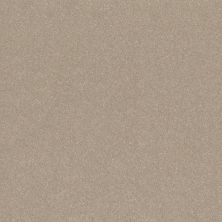Shaw Floors Abbey&ftg Pet Perfect Take Notice II 12 Subtle Clay 00114_7J0L8