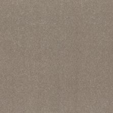 Shaw Floors Abbey&ftg Pet Perfect Take Notice II 15 Chic Greige 00111_7J0L9